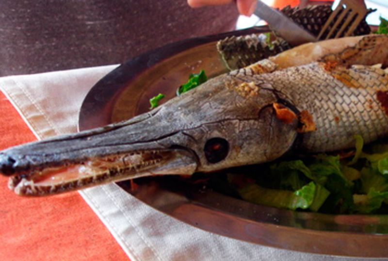 Comida típica de Tabasco: Chanchamitos y 10 emblemáticos